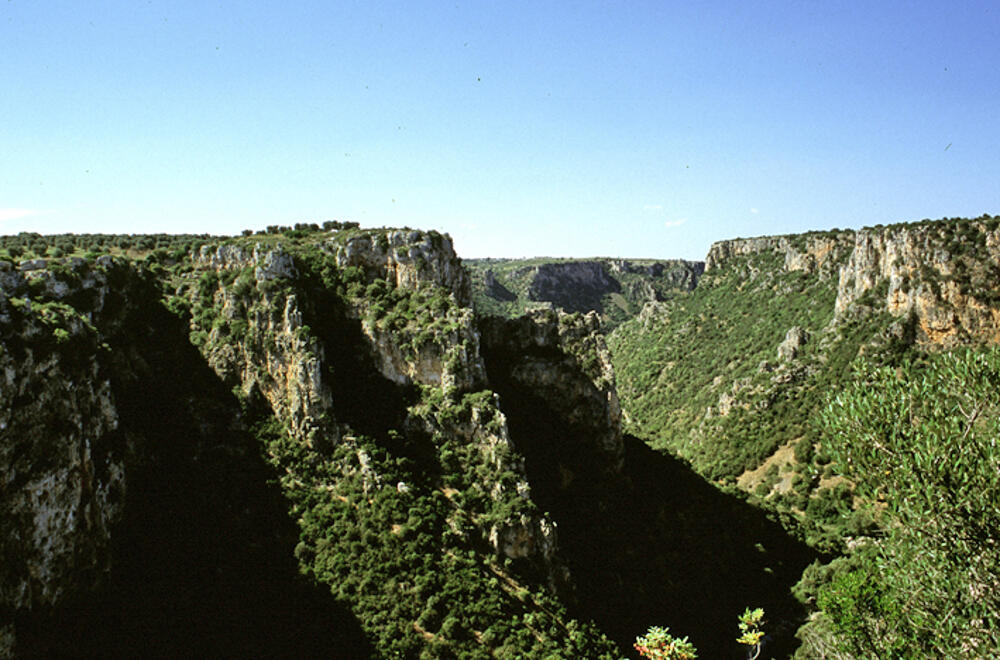 Uno scorcio della Gravina di Laterza